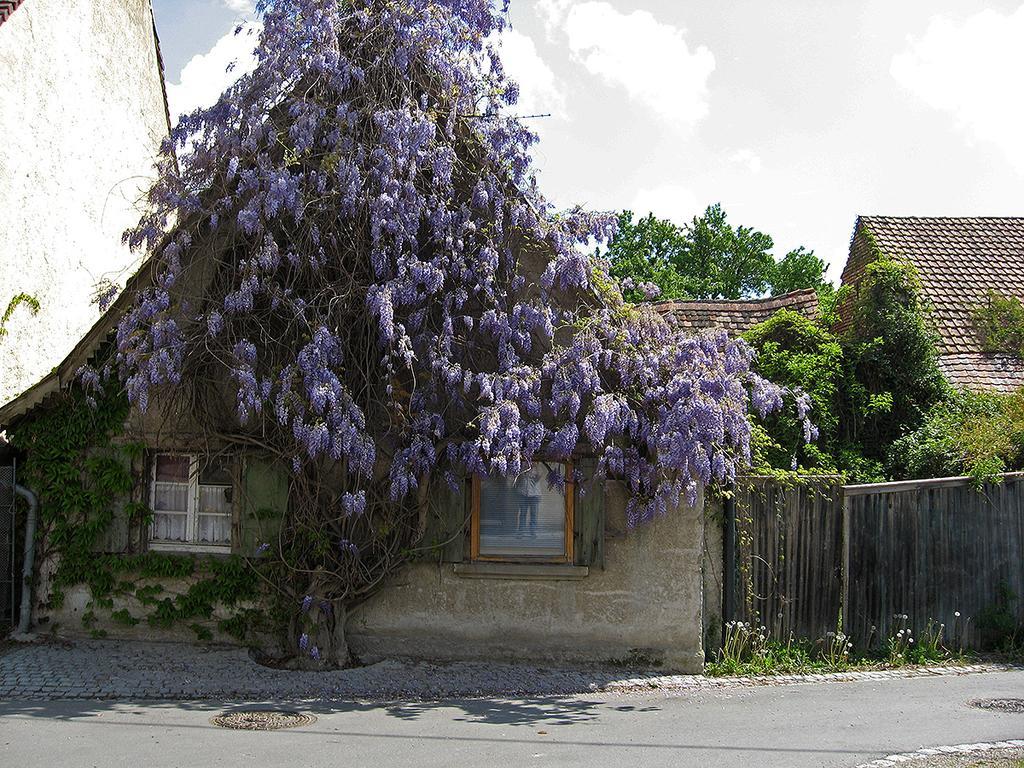Die Sprachpension - The Language Guesthouse フォグツブルク エクステリア 写真