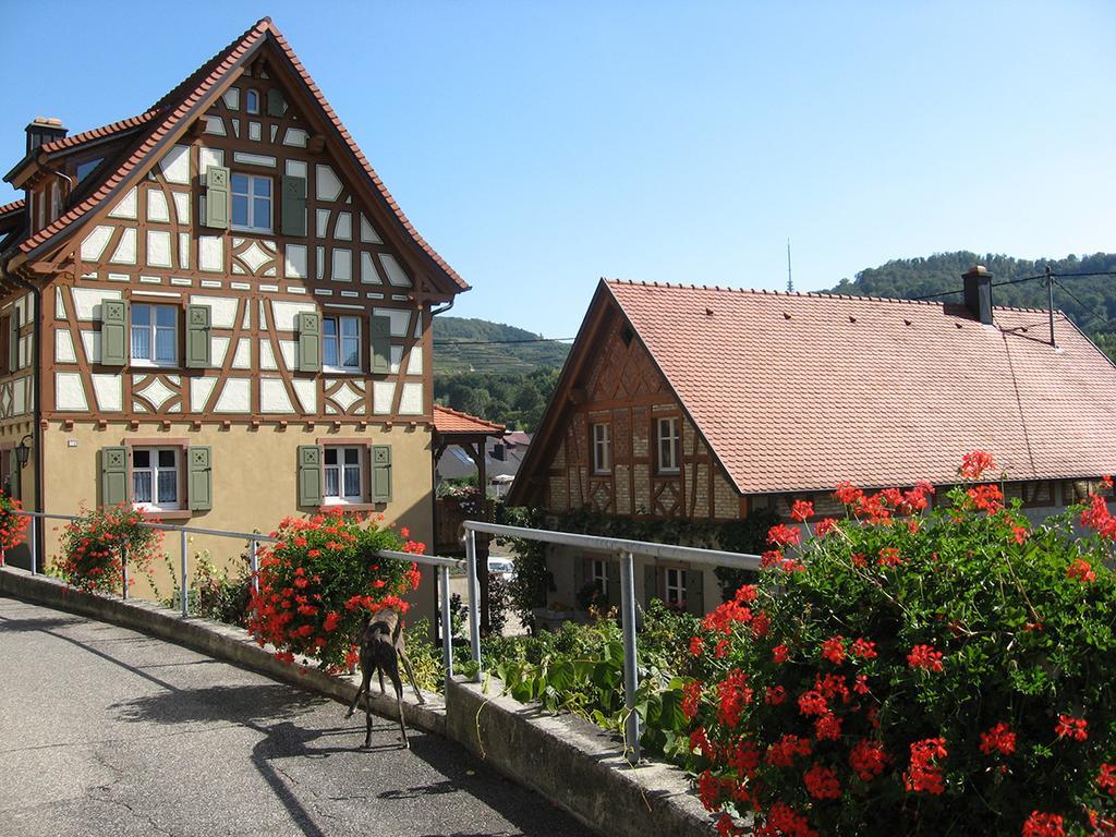 Die Sprachpension - The Language Guesthouse フォグツブルク エクステリア 写真